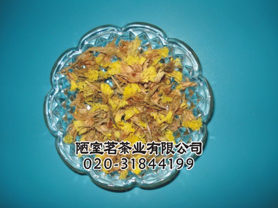 供应迎春花